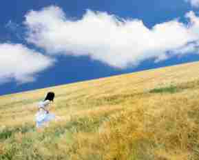 焊﻿条‌功‌能‍